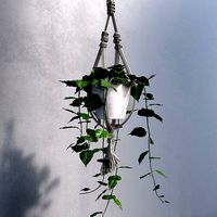 Hanging Pot with Plant
