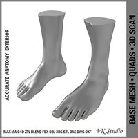 Male Realistic Feet Base Mesh