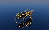 Wasp Vespula
