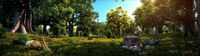 Urban Forest 0101