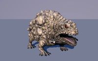 Toad Frog