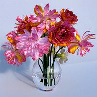Peony Narcissus Flower set