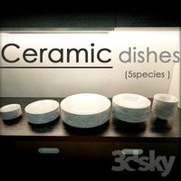 5 types of ceramic tableware