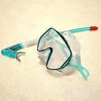 mask for snorkeling