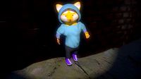 Racoon Character