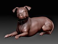 Pitbull dog | 3D
