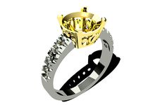 Ring Wedding | 3D