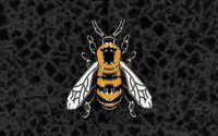 Bee Gold | 3D