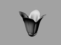 Bell tulip flower | 3D
