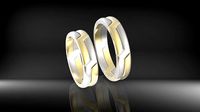 wedding sennit constructor rings | 3D