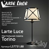 Larte luce Torino L57731.88