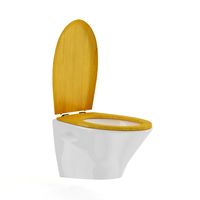 Toilet Bowl with Wooden Elements 3D Model
