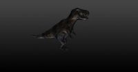Trex 3D Model