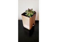 Self Watering Planter