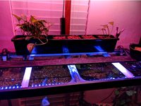 Modular inserts for small-scale aquaponics bed