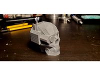 Servo skull