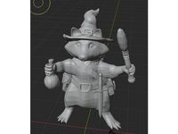 racoonman wizard with and without hat