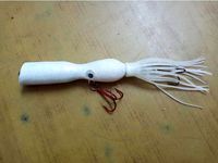 The Subtlesplish lure