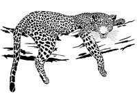 Leopard stencil