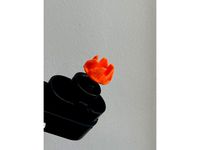 Fluval Aquavac+ Impeller