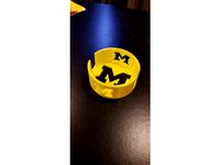 Michigan Coaster Holder