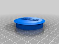 swingarmcap for BMW vehicle