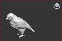 Falcon 3dsgsm 3D Model