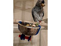 Pet hanging bowl anti-spill bracket
