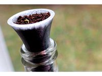 Bottle Garden Grow Insert