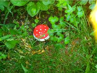 Slug trap