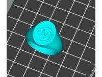 Witcher Signet Ring