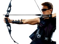 Hawkeye Archery Guard