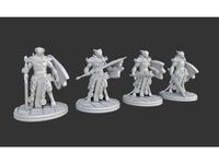 Dragonborn Paladin Miniature (Better supports and extra poses)