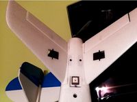 Mini Talon Removable Tail