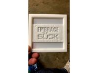 Embrace the Suck window