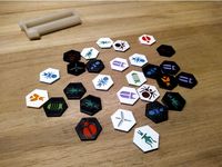 Pocket Hive Multicolor