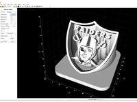 Raiders Shield Extruded