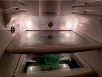 Refrigerator Shelf Peg