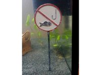 No Fishing sign for Aquarium