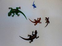 Gecko