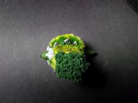 Torterra