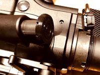 AR-10 Forward Assist Enlarger