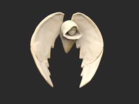 Hooded Mask With Wings