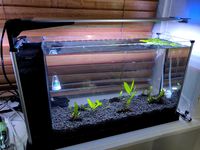 Finnex Planted+ HLC mount for Spec V