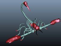 Scorpion 3D Model