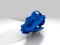 Dog Skull - CT Scan