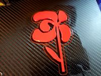 IFEI Flower/ Flor de la IFEI
