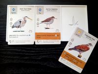 Wingspan Bird Tray