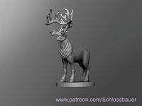 Reindeer