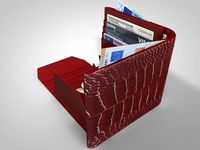 Wallet - Crocodile Style